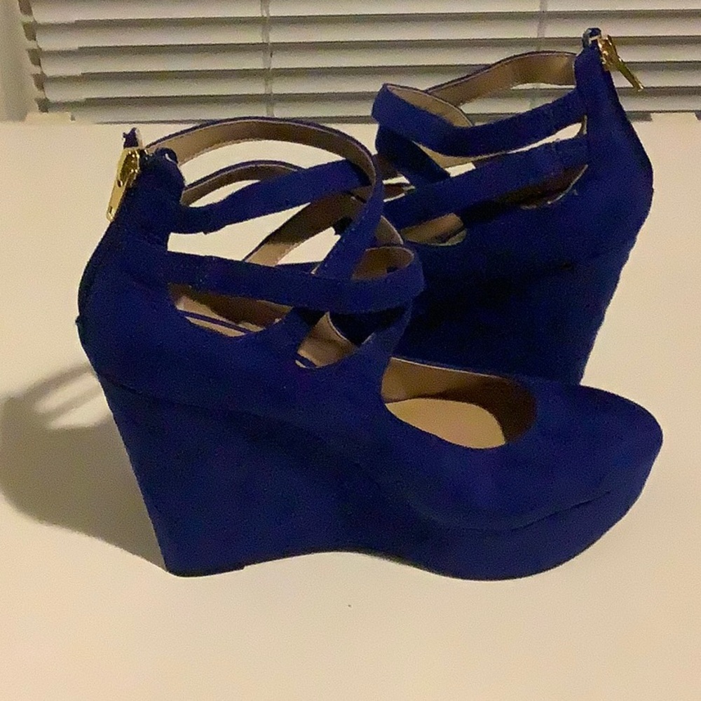 Blue Wedges